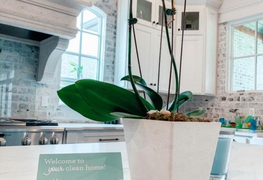 A note to a Merry Maids customer next to a plant on a kitchen counter | Merry Maids