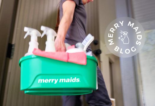 Cleaning tote
