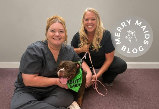 Merry Maids women and dog